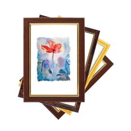 Plastic Photoframe